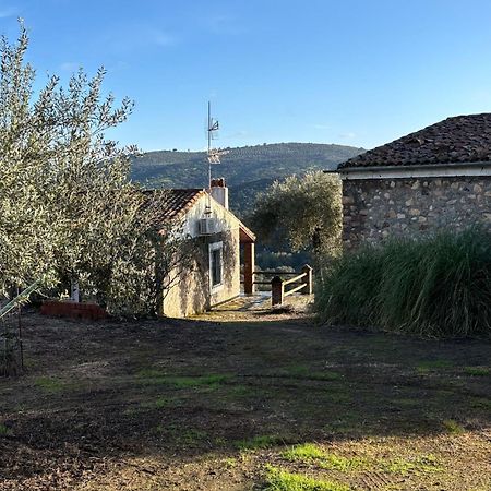 Casas Rurales Los Llanos Fuentes de León Esterno foto