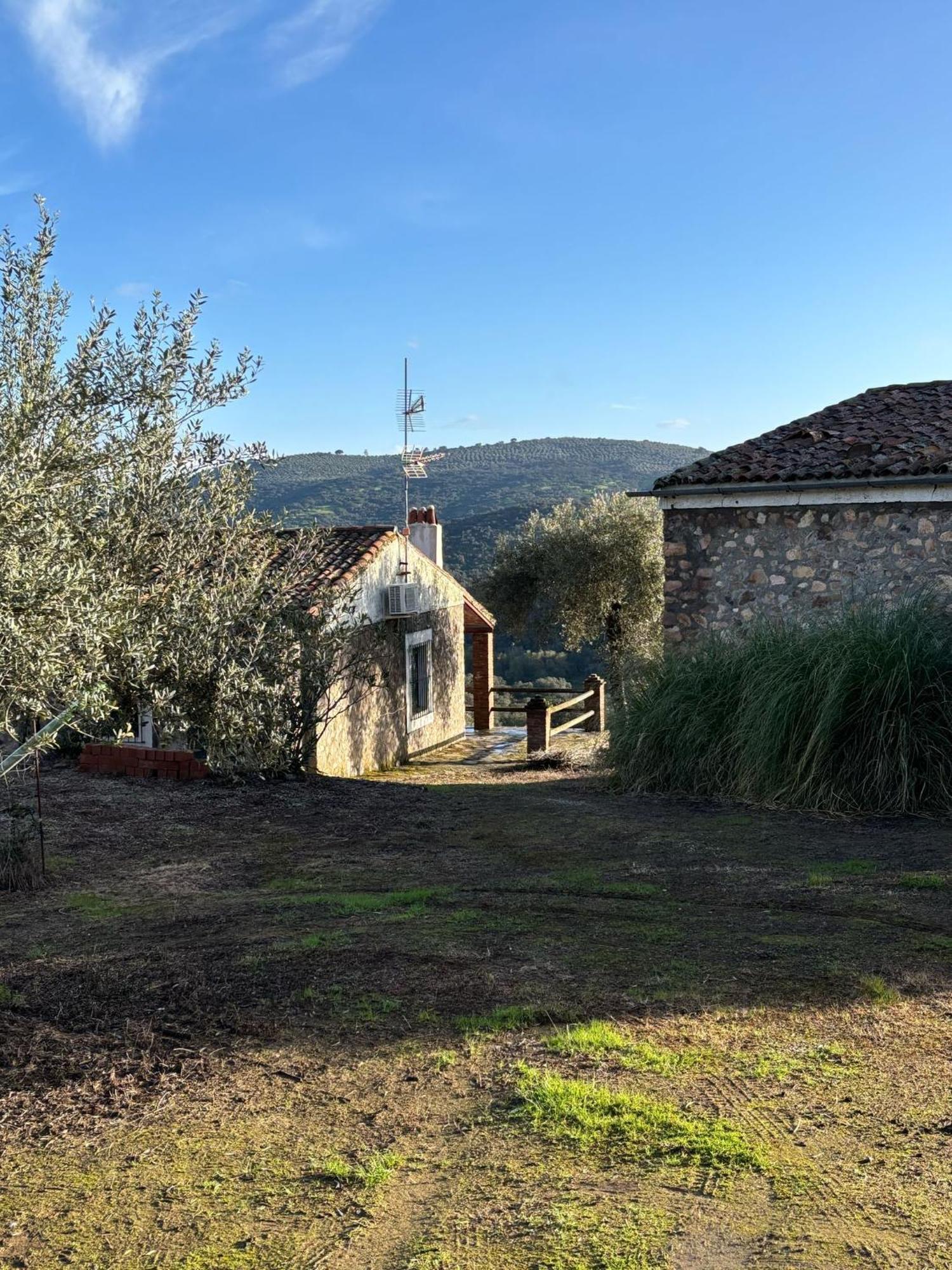 Casas Rurales Los Llanos Fuentes de León Esterno foto