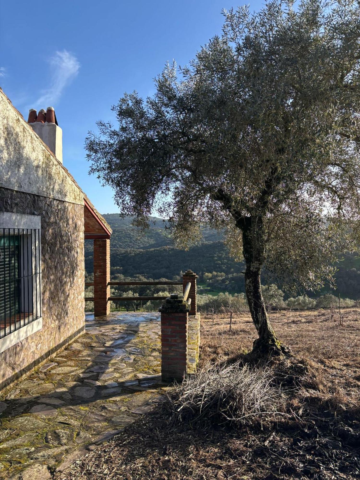Casas Rurales Los Llanos Fuentes de León Esterno foto