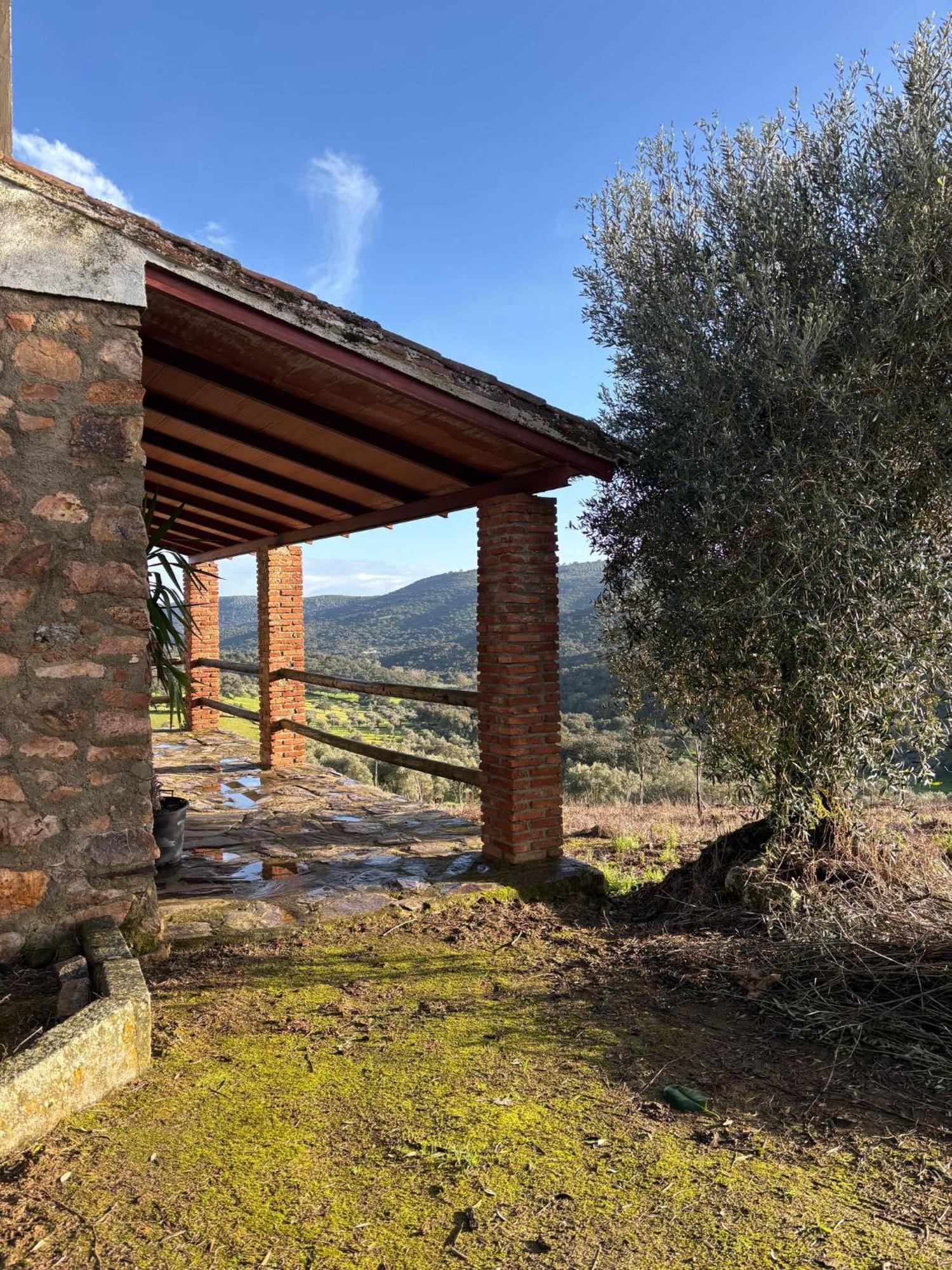 Casas Rurales Los Llanos Fuentes de León Esterno foto