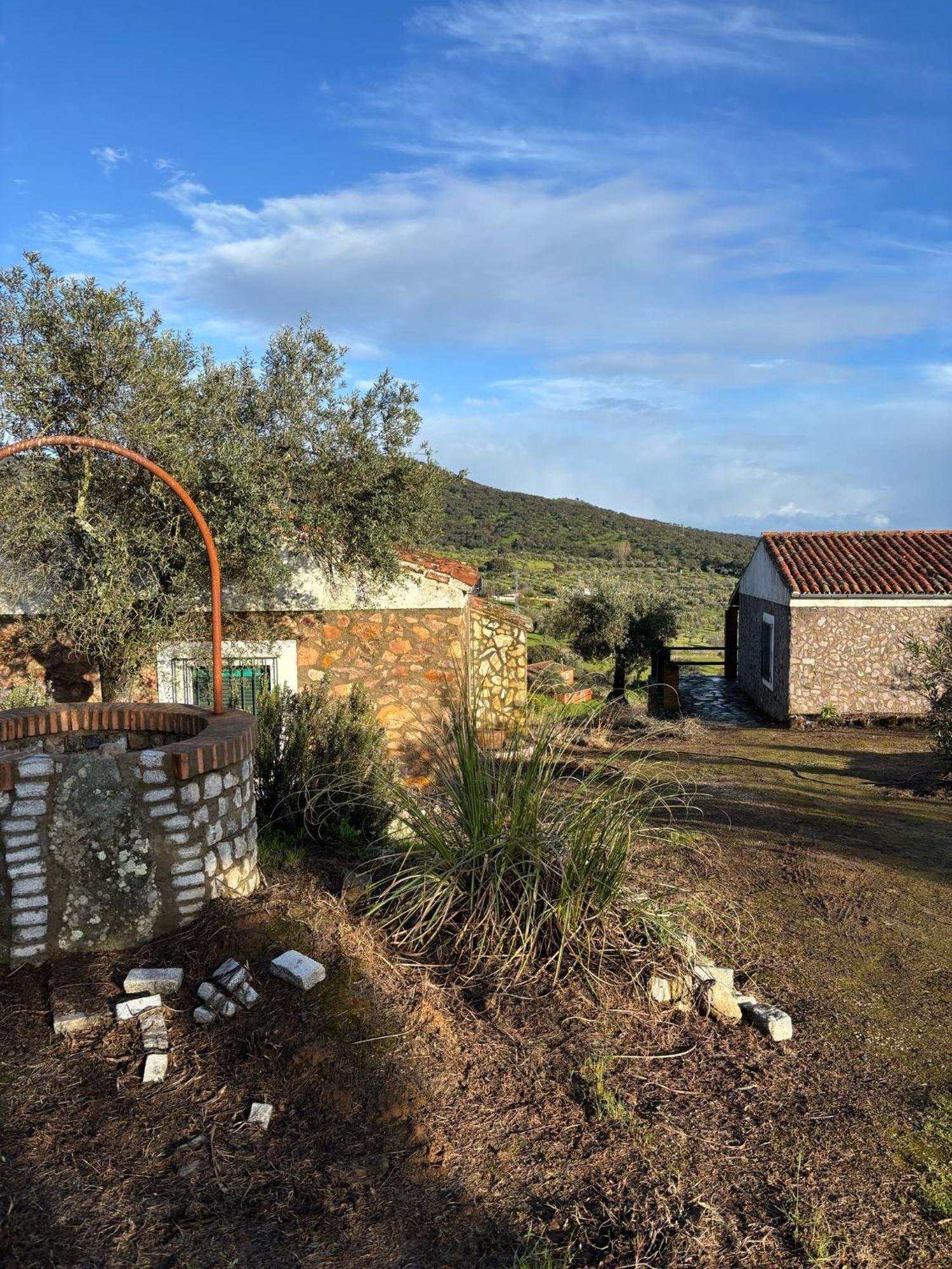 Casas Rurales Los Llanos Fuentes de León Esterno foto