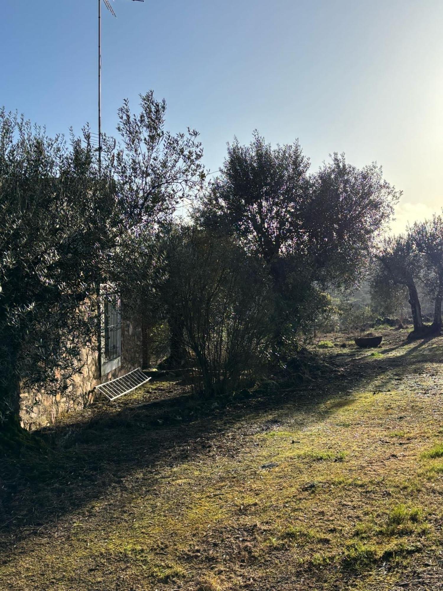Casas Rurales Los Llanos Fuentes de León Esterno foto