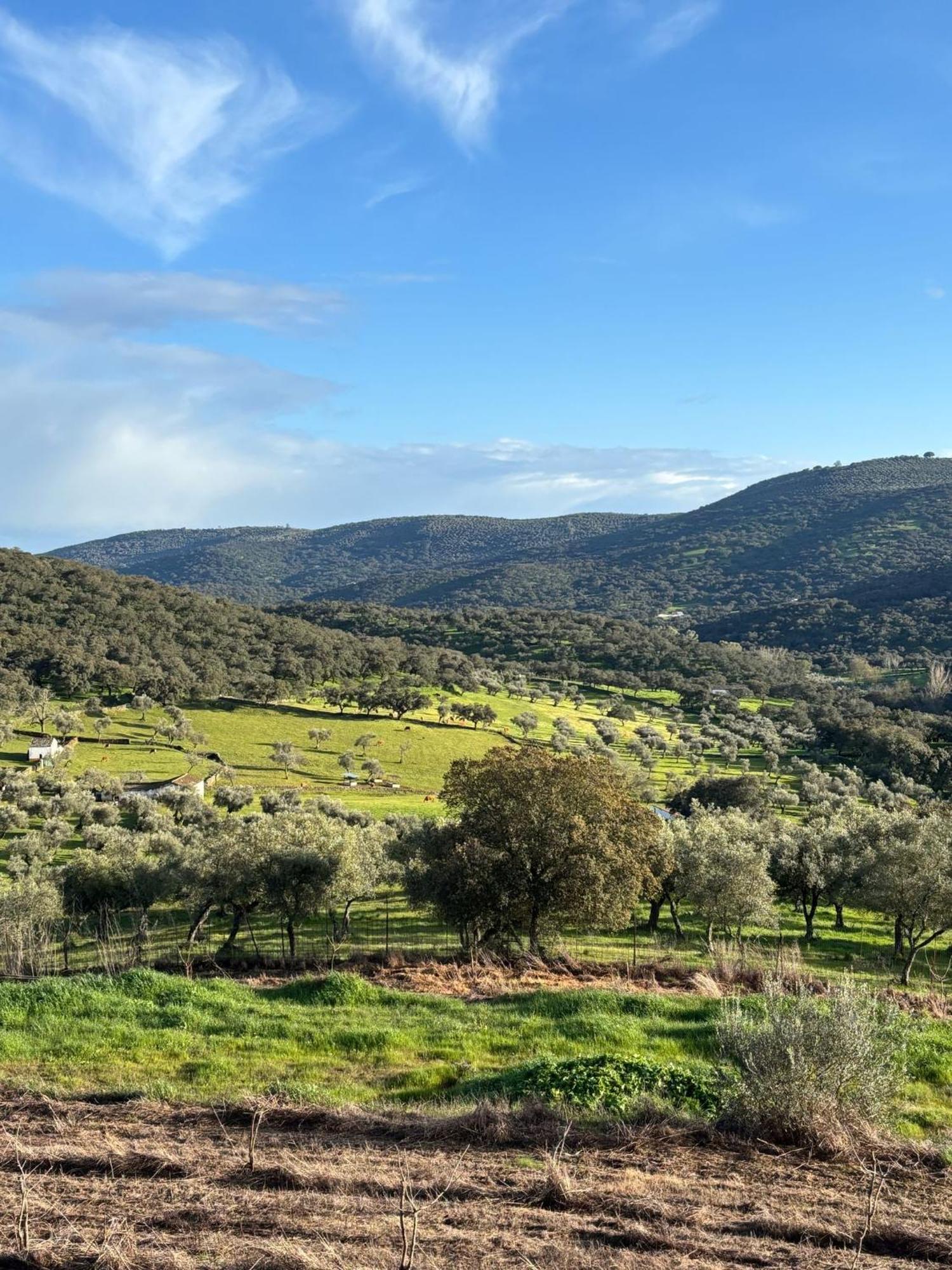 Casas Rurales Los Llanos Fuentes de León Esterno foto
