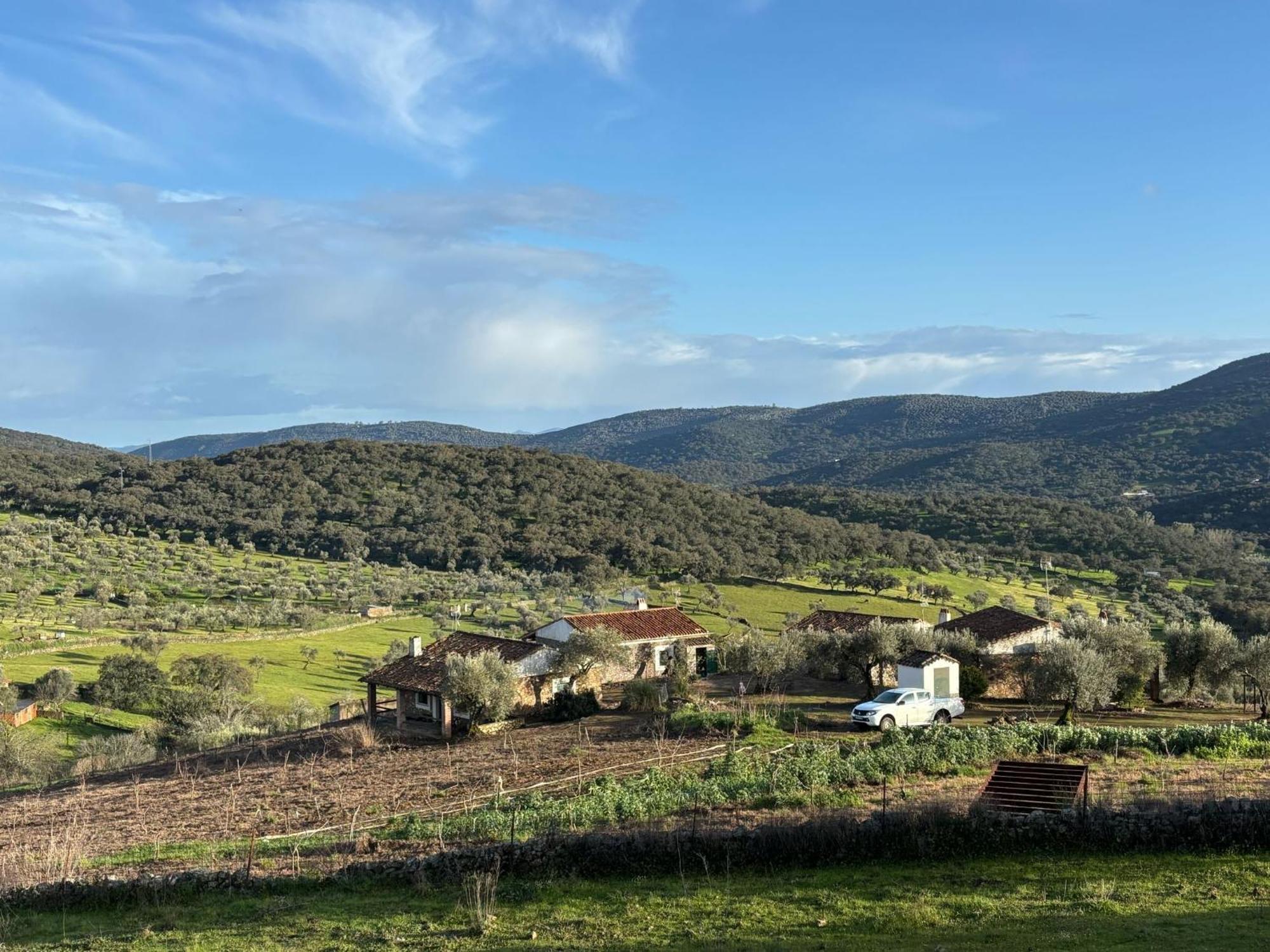 Casas Rurales Los Llanos Fuentes de León Esterno foto